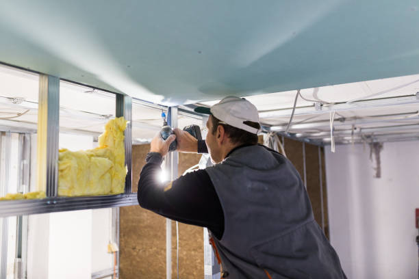 Types of Insulation We Offer in Gladewater, TX