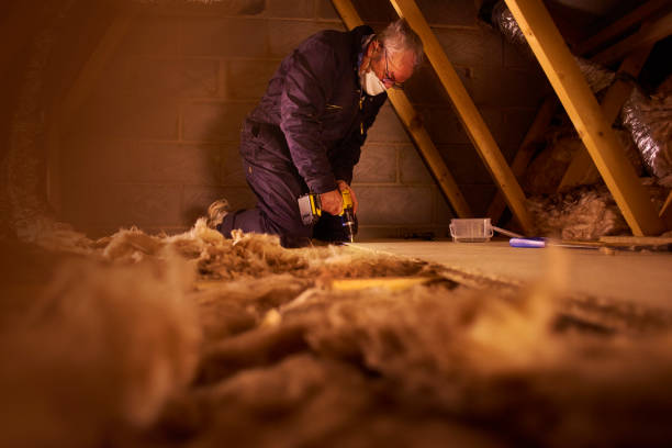 Best DIY Insulation Kits and Guidance in Gladewater, TX