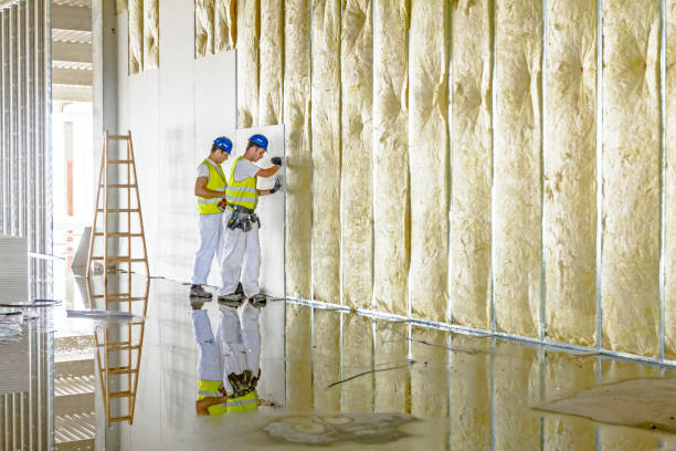 Best Commercial Insulation in Gladewater, TX